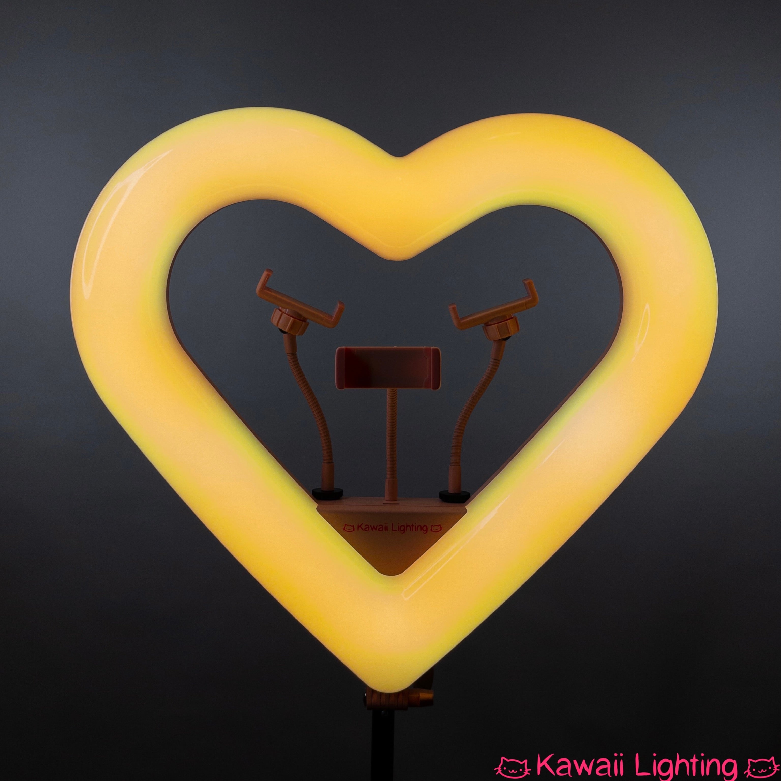 Heart Ring Light RGB 20