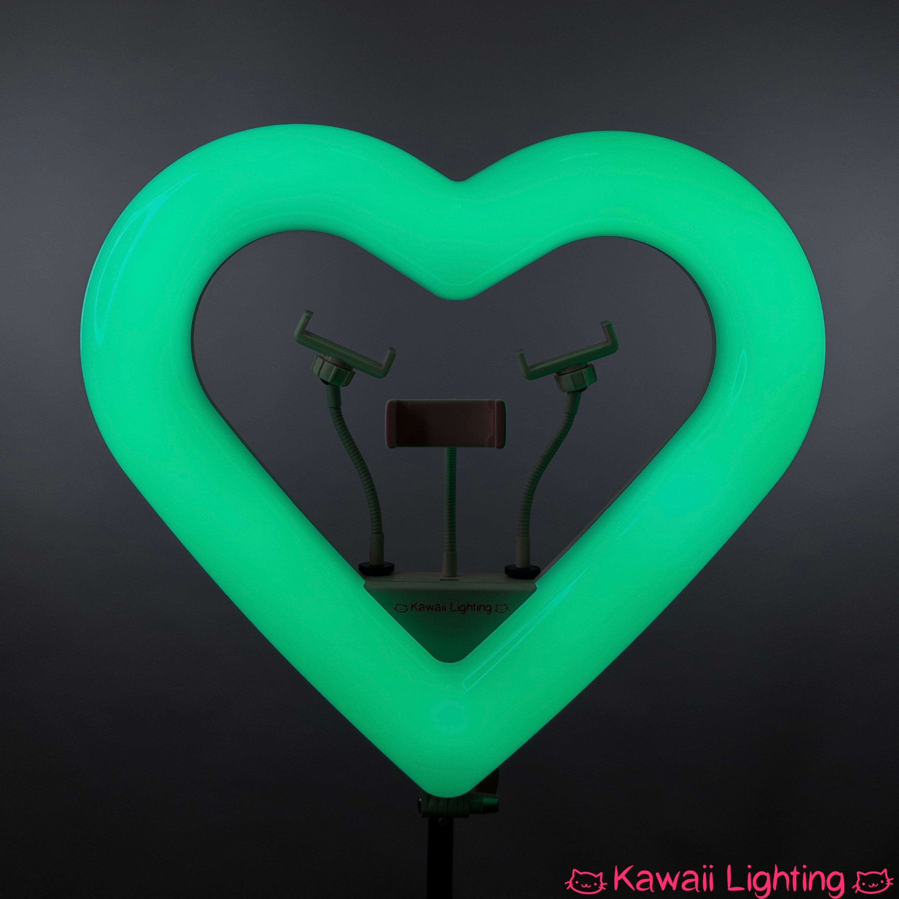 Heart Ring Light RGB 20